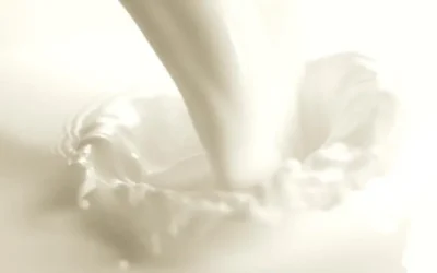 ¡Día Mundial de la Leche Escolar! Un lácteo y proteína que impacta en el rendimiento: Prevención y Promoción de la Salud