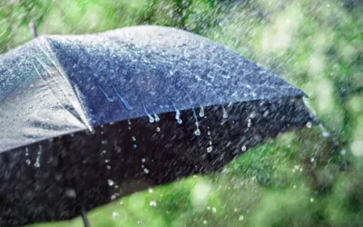 Lluvias para el fin de semana se esperan de 80 mm en promedio en el centro y sur de Sinaloa: Juan Espinosa Luna