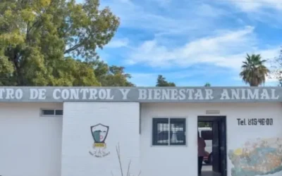 Alcalde de Ahome advierte sanciones si se comprueba negligencia en Centro de Control Animal