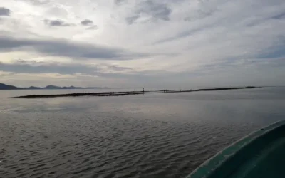 Cero captura de camarón en Huizache-Caimanero; piden desazolve urgente