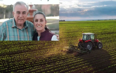 Agricultores ven con esperanza gestión de apoyos al maíz