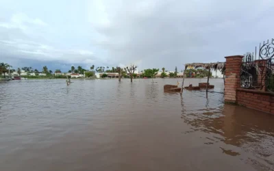 Las lluvias provocan cierre de jardín botánico en Los Mochis .