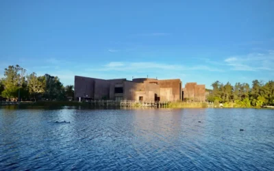 No hay manera de que se autorice un descuento al adeudo de más de 40 mdpque tiene el Gran Acuario Mazatlán: Maribel Chollet