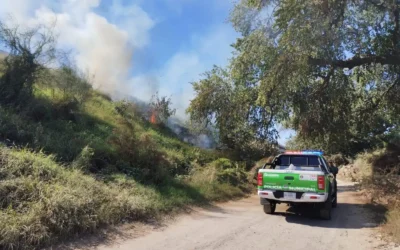 Ecología de Guasave acumula más de 120 multas por quema de basura y tala de árboles