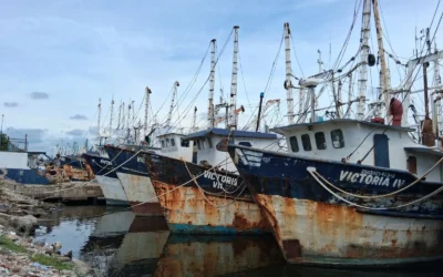 Con menos de la mitad de barcos pesqueros, inicia pesca de camarón en altamar en Mazatlán