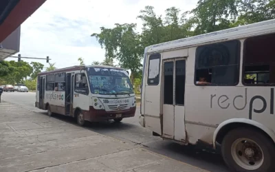 Hasta el 10 de octubre será válida la credencial del año anterior en camiones urbanos, en Los Mochis