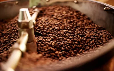 Diputada de Morena asegura que científicos veracruzanos construyeron nave espacial y piden que lleven café a Marte