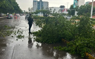 Un menor fallecido, múltiples daños y rescates deja fuerte lluvia en Culiacán
