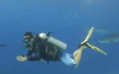 Biólogo mexicano atacado por tiburón en Costa Rica se encuentra grave pero estable
