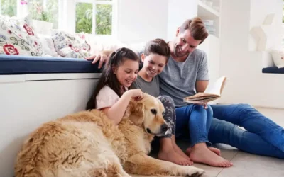 Si a usted le gustan los animales, le puede dar refugio temporal a una mascota en su casa