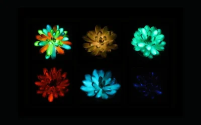 Suculentas que brillan como joyas: el experimento que ilumina el futuro desde China