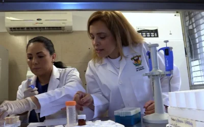 Especialista de la UAS realiza investigación en proteínas alternativas de fuente vegetal y de insectos, como soluciones sostenibles y saludables