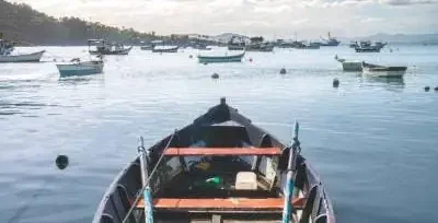 Pescadores de Altata continúan con alternativas de pesca ante baja captura de camarón: dirigente