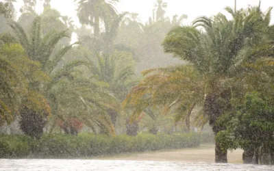 Jardín Botánico de Los Mochis cierra temporalmente por condiciones climáticas