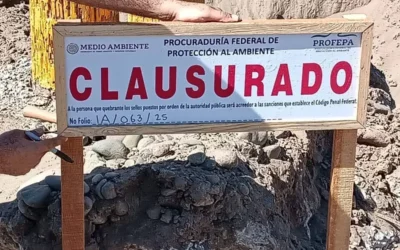 Clausura de Profepa en La Ensenadita, Guasave es para el supuesto propietario; acceso a la playa sigue abierto: Ecología.