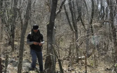 Doctorando del Instituto Politécnico Nacional eligió a la Facultad de Biología de la UAS para sus investigaciones relacionadas a plantas medicinales