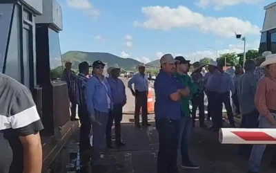 Lamentan productores que a representantes de Sinaloa les impidieran participar en reunión con autoridades federales de agricultura