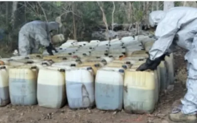 Grupo Interinstitucional asegura y deshabilita un área de almacenamiento de precursores químicos en Culiacán.