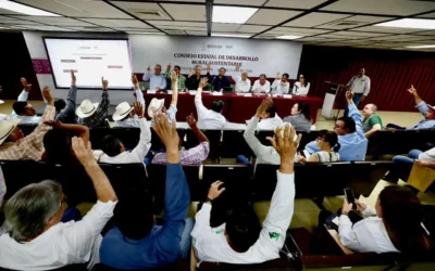 Aprueban autoridades y productores superficie de siembra para ciclo agrícola en Sinaloa.