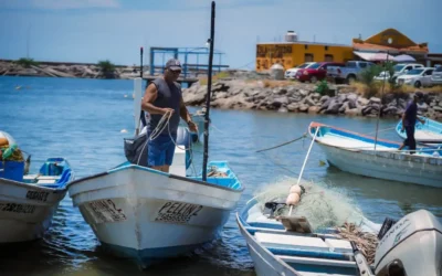 Sinaloa, entre las cinco entidades con mayor crecimiento económico en México en el primer semestre de 2025.