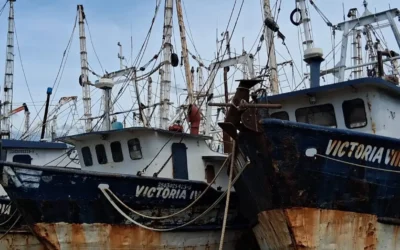 Barcos camaroneros se resguardan ante alerta de huracán Priscila en Mazatlán