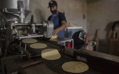 Industriales de la tortilla en Sinaloa esperan reunión con autoridades federales para definir apoyos