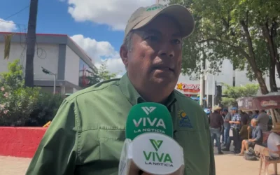 Agricultores en Sinaloa optan por arrendar sus tierras ante crisis del campo