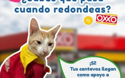 Invitan a decir “sí” al redondeo en tiendas Oxxo para apoyar a familias vulnerables en Culiacán