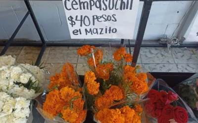 Reciben 22 solicitudes para venta de flores por Día de Muertos en Ahome