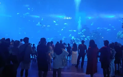 Gran Acuario Mazatlán propone pagar en plazos la deuda de 48 millones de pesos al Ayuntamiento