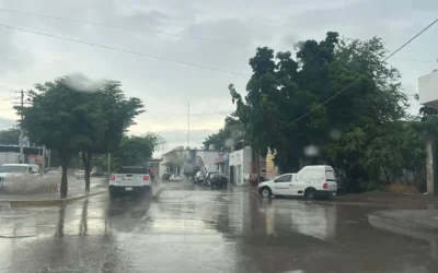 Bachocho, Las Cañadas y Tamazula, entre las zonas con mayor precipitación recibidas el fin de semana en Guasave.