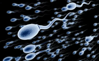 Nuevo estudio revela que los espermatozoides de hombres mayores presentan más mutaciones genéticas