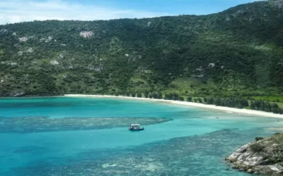 Mujer de 80 años es hallada muerta en una isla tropical después de que su crucero zarpara sin ella