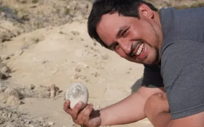 Paleontólogos descubren un huevo de dinosaurio en la Patagonia argentina