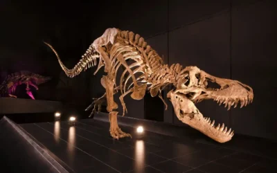 Desmienten una de las creencias más extendidas sobre la vida de los dinosaurios en el momento que cayó el meteorito