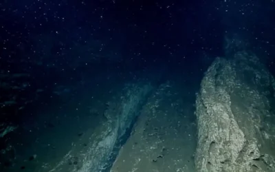 Científicos captaron por primera vez cómo una placa tectónica se fragmenta bajo el océano Pacífico