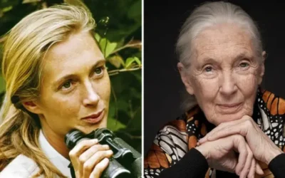 Muere Jane Goodall, pionera en el estudio de chimpancés, a los 91 años