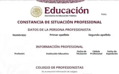 SEP lanza constancia digital para validar formación y competencias profesionales