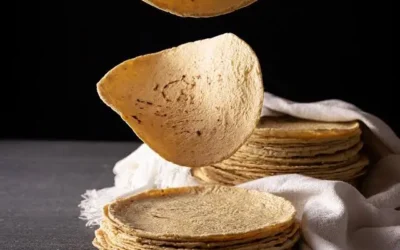 Industriales de la tortilla en Sinaloa buscarán apoyos en reunión con la Secretaría de Agricultura