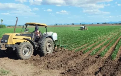 Reclama AARC abandono del campo en el Presupuesto Federal 2026.