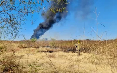 Controlado el incendio de maleza en La Costerita: PC Municipal.