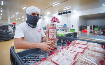 Sinaloa incrementa su población ocupada en el tercer trimestre de 2025: INEGI