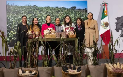 Se han destinado más de 7 mil 426 MDP en apoyo a 104 mil familias afectadas por lluvias extraordinarias, en diciembre inicia reconstrucción : Presidenta Claudia Sheinbaum.