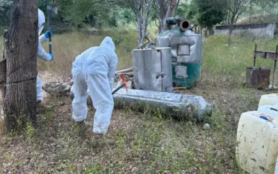 Operación Frontera Norte asegura precursores en Sinaloa con valor de 349 mdp.