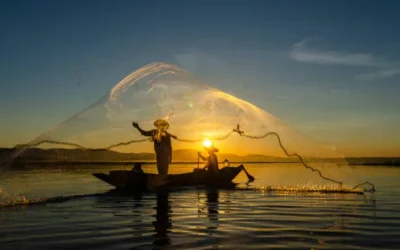 Pescadores de Altata dividen capturas de pesquerías, estando a la baja: Dirigente