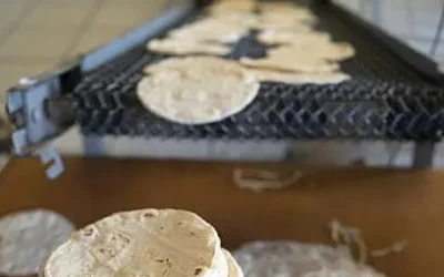 Es relevante para los industriales de la masa y la tortilla la adquisición de celdas solares y máquinas nuevas: Dirigente