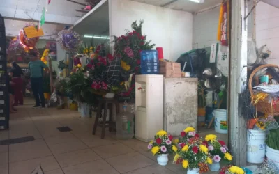 Flores marchitas en las ventas: floristas de Culiacán reportan bajas durante el Día de Muertos