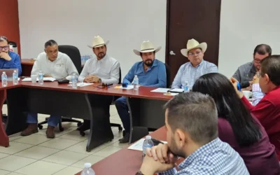 Reforzarán trazabilidad y control sanitario en la movilización ganadera de Sinaloa