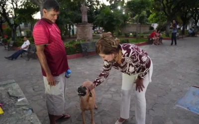 Atender la pobreza es prevenir la violencia: Tere Guerra.
