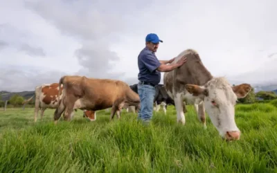 Sector ganadero presenta un ánimo positivo en comparación al 2024: Martín Samaniego Cotera